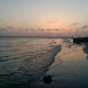 Meet your Posher, Max